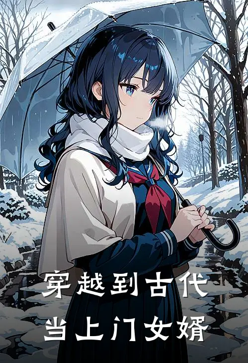 穿越到古代当上门女婿