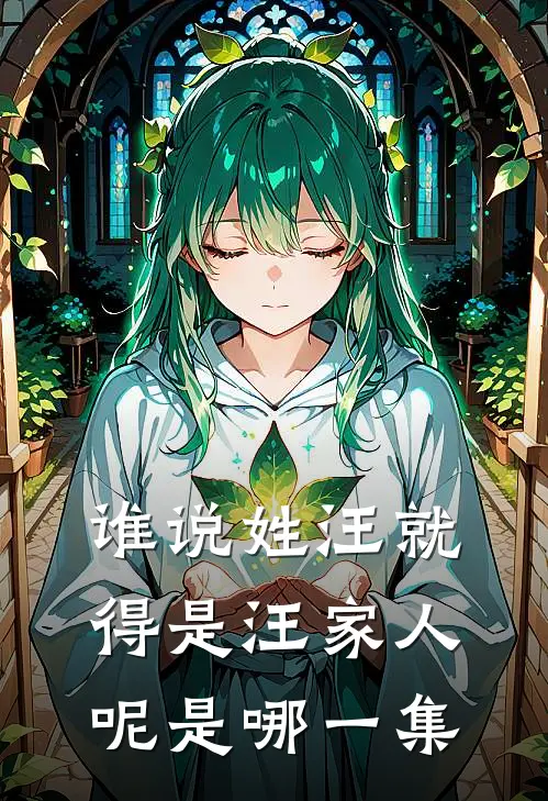 谁说姓汪就得是汪家人呢是哪一集